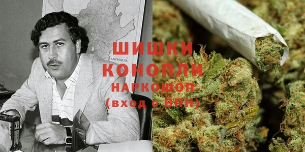 ПСИЛОЦИБИНОВЫЕ ГРИБЫ Арсеньев