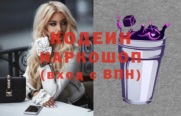 ПСИЛОЦИБИНОВЫЕ ГРИБЫ Арсеньев