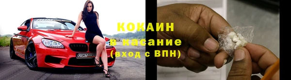 ПСИЛОЦИБИНОВЫЕ ГРИБЫ Арсеньев